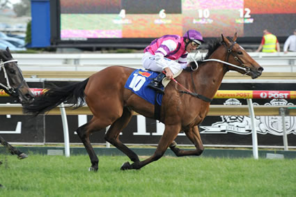 GROUP 3 WIN FOR DAMSELFLY..