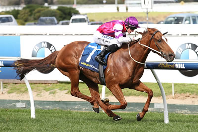 ONPICALO DOES IT AGAIN..