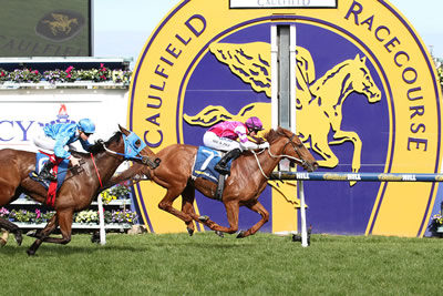 ONPICALO DOES IT AGAIN..